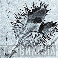 All Hell - Винил CD и Кассеты лейбла All Hell на сайте МаркетВинила