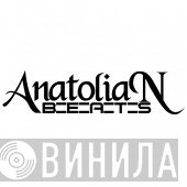 Anatolian Beats - Винил CD и Кассеты лейбла Anatolian Beats на сайте МаркетВинила