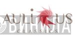 Aulicus Classics - Винил CD и Кассеты лейбла Aulicus Classics на сайте МаркетВинила