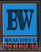 Beautiful World - Винил CD и Кассеты лейбла Beautiful World на сайте МаркетВинила