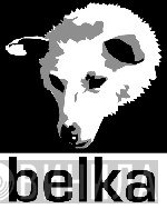 Belka - Винил CD и Кассеты лейбла Belka на сайте МаркетВинила