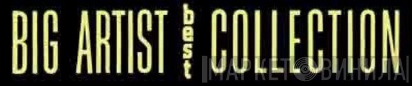 Big Artist Best Collection - Винил CD и Кассеты лейбла Big Artist Best Collection на сайте МаркетВинила