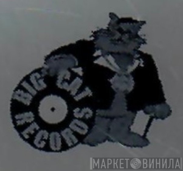 Big Cat Records  - Винил CD и Кассеты лейбла Big Cat Records (2) на сайте МаркетВинила