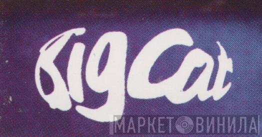 Big Cat - Винил CD и Кассеты лейбла Big Cat на сайте МаркетВинила