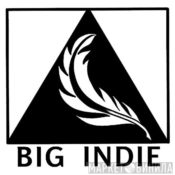 Big Indie Records - Винил CD и Кассеты лейбла Big Indie Records на сайте МаркетВинила