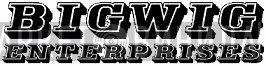 Bigwig Enterprises - Винил CD и Кассеты лейбла Bigwig Enterprises на сайте МаркетВинила