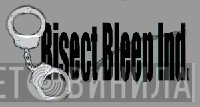 Bisect Bleep Industries - Винил CD и Кассеты лейбла Bisect Bleep Industries на сайте МаркетВинила
