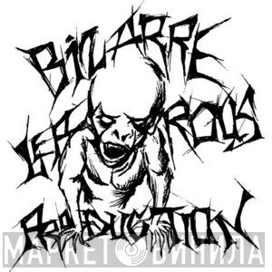 Bizarre Leprous Production - Винил CD и Кассеты лейбла Bizarre Leprous Production на сайте МаркетВинила