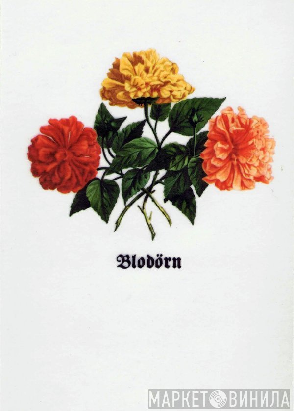 Blodörn - Винил CD и Кассеты лейбла Blodörn на сайте МаркетВинила