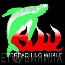 Breaching Whale - Винил CD и Кассеты лейбла Breaching Whale на сайте МаркетВинила