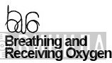 Breathing And Receiving Oxygen - Винил CD и Кассеты лейбла Breathing And Receiving Oxygen на сайте МаркетВинила