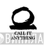 Call It Anything - Винил CD и Кассеты лейбла Call It Anything на сайте МаркетВинила