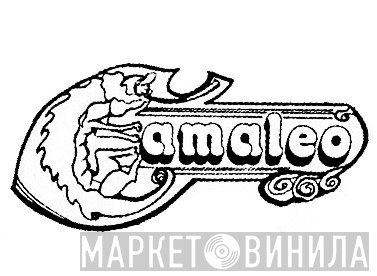 Camaleo - Винил CD и Кассеты лейбла Camaleo на сайте МаркетВинила