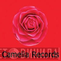 Camelia - Винил CD и Кассеты лейбла Camelia на сайте МаркетВинила