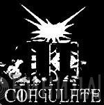 Coagulate Tapes - Винил CD и Кассеты лейбла Coagulate Tapes на сайте МаркетВинила