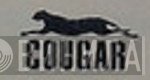 Cougar Records  - Винил CD и Кассеты лейбла Cougar Records (2) на сайте МаркетВинила