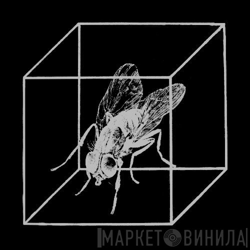 Cube  - Винил CD и Кассеты лейбла Cube (6) на сайте МаркетВинила