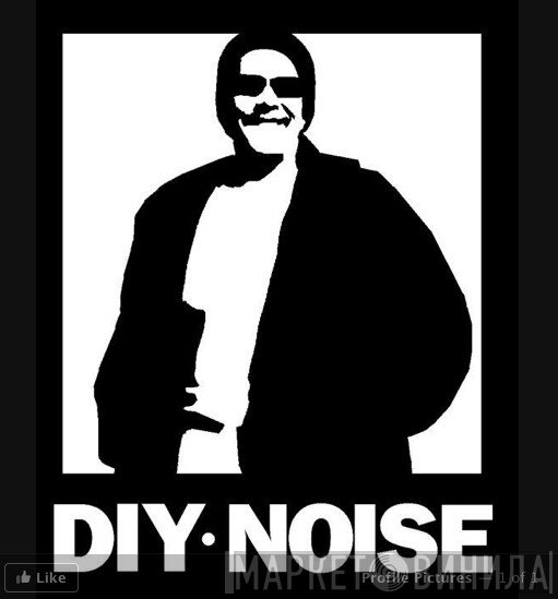 DIY Noise - Винил CD и Кассеты лейбла DIY Noise на сайте МаркетВинила