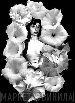 Datura Porno - Винил CD и Кассеты лейбла Datura Porno на сайте МаркетВинила
