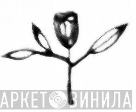 Delaphine - Винил CD и Кассеты лейбла Delaphine на сайте МаркетВинила