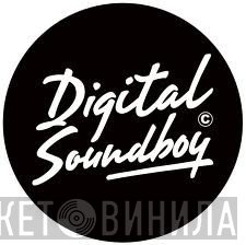 Digital Soundboy Recording Co. - Винил CD и Кассеты лейбла Digital Soundboy Recording Co. на сайте МаркетВинила