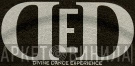 Divine Dance Experience - Винил CD и Кассеты лейбла Divine Dance Experience на сайте МаркетВинила
