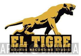 El Tigre - Винил CD и Кассеты лейбла El Tigre на сайте МаркетВинила