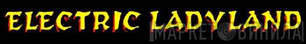 Electric Ladyland - Винил CD и Кассеты лейбла Electric Ladyland на сайте МаркетВинила