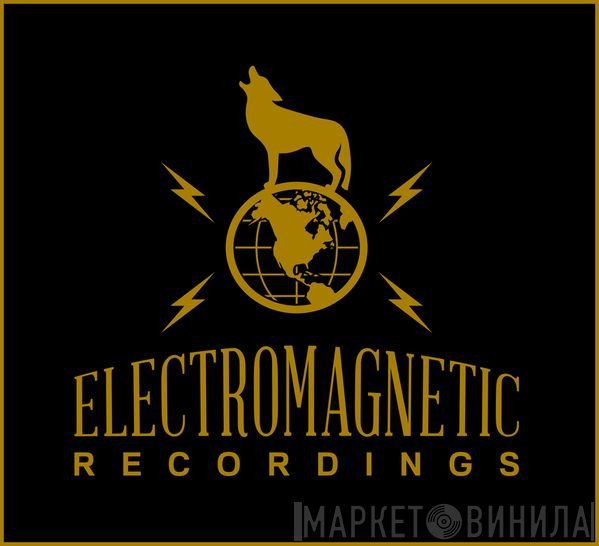 Electromagnetic Recordings  - Винил CD и Кассеты лейбла Electromagnetic Recordings (2) на сайте МаркетВинила