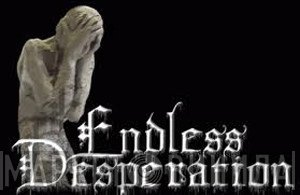 Endless Desperation - Винил CD и Кассеты лейбла Endless Desperation на сайте МаркетВинила