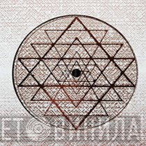 Experiential Learning - Винил CD и Кассеты лейбла Experiential Learning на сайте МаркетВинила