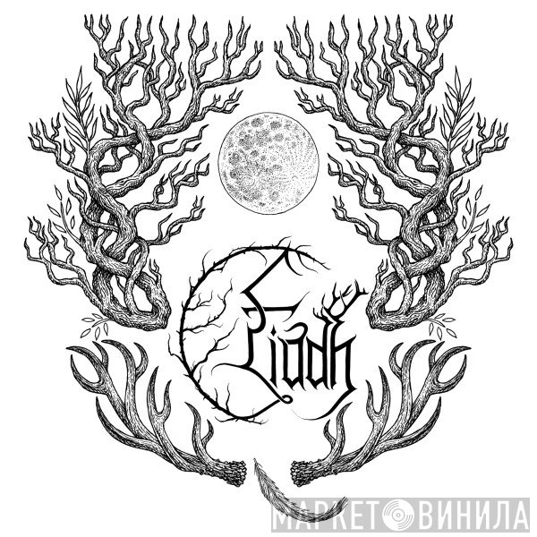 Fiadh Productions - Винил CD и Кассеты лейбла Fiadh Productions на сайте МаркетВинила