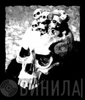 Flowerviolence Records - Винил CD и Кассеты лейбла Flowerviolence Records на сайте МаркетВинила