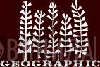 Geographic - Винил CD и Кассеты лейбла Geographic на сайте МаркетВинила
