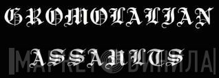Gromolalian Assaults - Винил CD и Кассеты лейбла Gromolalian Assaults на сайте МаркетВинила
