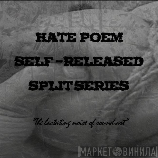 Hate Poem Self-Released Split Series - Винил CD и Кассеты лейбла Hate Poem Self-Released Split Series на сайте МаркетВинила