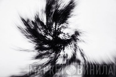 Invisible Birds - Винил CD и Кассеты лейбла Invisible Birds на сайте МаркетВинила