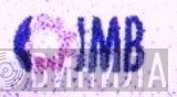 JMB - Винил CD и Кассеты лейбла JMB на сайте МаркетВинила