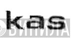 Kas - Винил CD и Кассеты лейбла Kas на сайте МаркетВинила