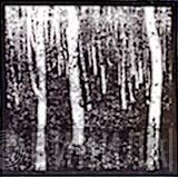 Klimt Records - Винил CD и Кассеты лейбла Klimt Records на сайте МаркетВинила