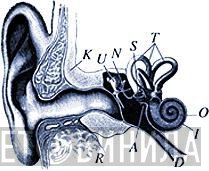 Kunstradio - Винил CD и Кассеты лейбла Kunstradio на сайте МаркетВинила