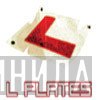L Plates - Винил CD и Кассеты лейбла L Plates на сайте МаркетВинила
