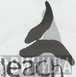 Leach - Винил CD и Кассеты лейбла Leach на сайте МаркетВинила