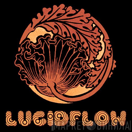 Lucidflow - Винил CD и Кассеты лейбла Lucidflow на сайте МаркетВинила