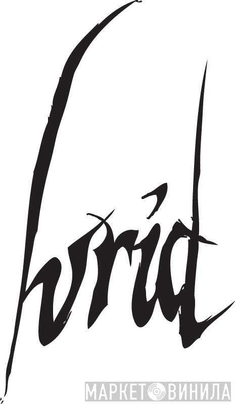 Lurid Music - Винил CD и Кассеты лейбла Lurid Music на сайте МаркетВинила