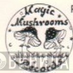 Magic Mushrooms Records - Винил CD и Кассеты лейбла Magic Mushrooms Records на сайте МаркетВинила