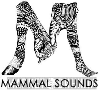 Mammal Sounds - Винил CD и Кассеты лейбла Mammal Sounds на сайте МаркетВинила