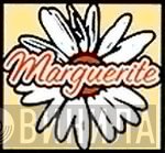 Marguerite  - Винил CD и Кассеты лейбла Marguerite (2) на сайте МаркетВинила