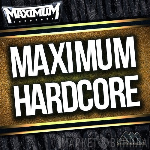 Maximum Hardcore - Винил CD и Кассеты лейбла Maximum Hardcore на сайте МаркетВинила