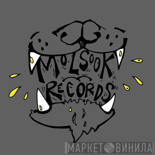 Molsook Records - Винил CD и Кассеты лейбла Molsook Records на сайте МаркетВинила